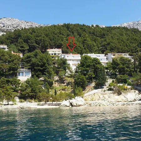 9 *